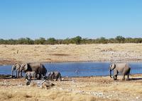 Tage Rundreise Namibia – Die Erlebnistour mit  Kalahari – Fish River-Canyon – Lüderitz – Namib – Swakopmund – Erongo Gebirge – Etosha Nationalpark – Windhoek (1724)