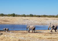 Tage Rundreise Namibia – Die Erlebnistour mit  Kalahari – Fish River-Canyon – Lüderitz – Namib – Swakopmund – Erongo Gebirge – Etosha Nationalpark – Windhoek (1725)