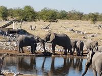 Tage Rundreise Namibia – Die Erlebnistour mit  Kalahari – Fish River-Canyon – Lüderitz – Namib – Swakopmund – Erongo Gebirge – Etosha Nationalpark – Windhoek (1726)