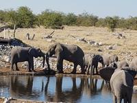 Tage Rundreise Namibia – Die Erlebnistour mit  Kalahari – Fish River-Canyon – Lüderitz – Namib – Swakopmund – Erongo Gebirge – Etosha Nationalpark – Windhoek (1727)
