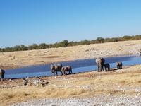 Tage Rundreise Namibia – Die Erlebnistour mit  Kalahari – Fish River-Canyon – Lüderitz – Namib – Swakopmund – Erongo Gebirge – Etosha Nationalpark – Windhoek (1728)