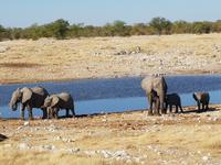 Tage Rundreise Namibia – Die Erlebnistour mit  Kalahari – Fish River-Canyon – Lüderitz – Namib – Swakopmund – Erongo Gebirge – Etosha Nationalpark – Windhoek (1729)