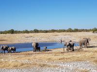 Tage Rundreise Namibia – Die Erlebnistour mit  Kalahari – Fish River-Canyon – Lüderitz – Namib – Swakopmund – Erongo Gebirge – Etosha Nationalpark – Windhoek (1730)