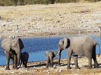 Tage Rundreise Namibia – Die Erlebnistour mit  Kalahari – Fish River-Canyon – Lüderitz – Namib – Swakopmund – Erongo Gebirge – Etosha Nationalpark – Windhoek (1731)