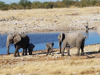 Tage Rundreise Namibia – Die Erlebnistour mit  Kalahari – Fish River-Canyon – Lüderitz – Namib – Swakopmund – Erongo Gebirge – Etosha Nationalpark – Windhoek (1732)