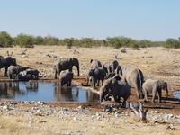 Tage Rundreise Namibia – Die Erlebnistour mit  Kalahari – Fish River-Canyon – Lüderitz – Namib – Swakopmund – Erongo Gebirge – Etosha Nationalpark – Windhoek (1734)