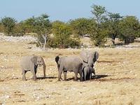 Tage Rundreise Namibia – Die Erlebnistour mit  Kalahari – Fish River-Canyon – Lüderitz – Namib – Swakopmund – Erongo Gebirge – Etosha Nationalpark – Windhoek (1736)