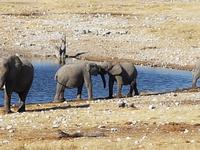 Tage Rundreise Namibia – Die Erlebnistour mit  Kalahari – Fish River-Canyon – Lüderitz – Namib – Swakopmund – Erongo Gebirge – Etosha Nationalpark – Windhoek (1737)
