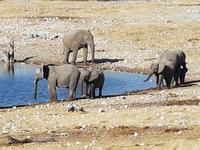 Tage Rundreise Namibia – Die Erlebnistour mit  Kalahari – Fish River-Canyon – Lüderitz – Namib – Swakopmund – Erongo Gebirge – Etosha Nationalpark – Windhoek (1738)