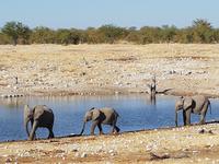 Tage Rundreise Namibia – Die Erlebnistour mit  Kalahari – Fish River-Canyon – Lüderitz – Namib – Swakopmund – Erongo Gebirge – Etosha Nationalpark – Windhoek (1739)