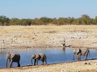 Tage Rundreise Namibia – Die Erlebnistour mit  Kalahari – Fish River-Canyon – Lüderitz – Namib – Swakopmund – Erongo Gebirge – Etosha Nationalpark – Windhoek (1740)