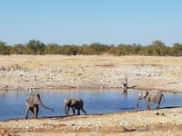 Tage Rundreise Namibia – Die Erlebnistour mit  Kalahari – Fish River-Canyon – Lüderitz – Namib – Swakopmund – Erongo Gebirge – Etosha Nationalpark – Windhoek (1741)