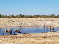 Tage Rundreise Namibia – Die Erlebnistour mit  Kalahari – Fish River-Canyon – Lüderitz – Namib – Swakopmund – Erongo Gebirge – Etosha Nationalpark – Windhoek (1742)