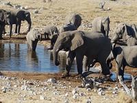 Tage Rundreise Namibia – Die Erlebnistour mit  Kalahari – Fish River-Canyon – Lüderitz – Namib – Swakopmund – Erongo Gebirge – Etosha Nationalpark – Windhoek (1743)