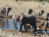 Tage Rundreise Namibia – Die Erlebnistour mit  Kalahari – Fish River-Canyon – Lüderitz – Namib – Swakopmund – Erongo Gebirge – Etosha Nationalpark – Windhoek (1744)