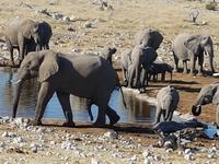 Tage Rundreise Namibia – Die Erlebnistour mit  Kalahari – Fish River-Canyon – Lüderitz – Namib – Swakopmund – Erongo Gebirge – Etosha Nationalpark – Windhoek (1745)