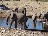Tage Rundreise Namibia – Die Erlebnistour mit  Kalahari – Fish River-Canyon – Lüderitz – Namib – Swakopmund – Erongo Gebirge – Etosha Nationalpark – Windhoek (1747)