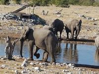 Tage Rundreise Namibia – Die Erlebnistour mit  Kalahari – Fish River-Canyon – Lüderitz – Namib – Swakopmund – Erongo Gebirge – Etosha Nationalpark – Windhoek (1749)