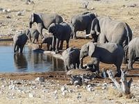 Tage Rundreise Namibia – Die Erlebnistour mit  Kalahari – Fish River-Canyon – Lüderitz – Namib – Swakopmund – Erongo Gebirge – Etosha Nationalpark – Windhoek (1750)