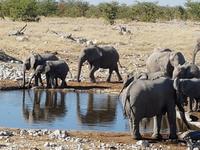 Tage Rundreise Namibia – Die Erlebnistour mit  Kalahari – Fish River-Canyon – Lüderitz – Namib – Swakopmund – Erongo Gebirge – Etosha Nationalpark – Windhoek (1753)