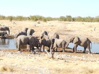 Tage Rundreise Namibia – Die Erlebnistour mit  Kalahari – Fish River-Canyon – Lüderitz – Namib – Swakopmund – Erongo Gebirge – Etosha Nationalpark – Windhoek (1754)