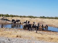 Tage Rundreise Namibia – Die Erlebnistour mit  Kalahari – Fish River-Canyon – Lüderitz – Namib – Swakopmund – Erongo Gebirge – Etosha Nationalpark – Windhoek (1755)