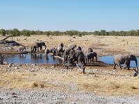 Tage Rundreise Namibia – Die Erlebnistour mit  Kalahari – Fish River-Canyon – Lüderitz – Namib – Swakopmund – Erongo Gebirge – Etosha Nationalpark – Windhoek (1756)