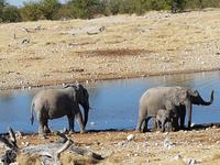Tage Rundreise Namibia – Die Erlebnistour mit  Kalahari – Fish River-Canyon – Lüderitz – Namib – Swakopmund – Erongo Gebirge – Etosha Nationalpark – Windhoek (1757)