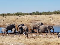 Tage Rundreise Namibia – Die Erlebnistour mit  Kalahari – Fish River-Canyon – Lüderitz – Namib – Swakopmund – Erongo Gebirge – Etosha Nationalpark – Windhoek (1759)