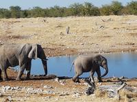 Tage Rundreise Namibia – Die Erlebnistour mit  Kalahari – Fish River-Canyon – Lüderitz – Namib – Swakopmund – Erongo Gebirge – Etosha Nationalpark – Windhoek (1762)
