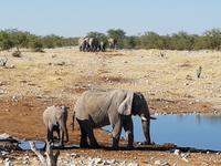 Tage Rundreise Namibia – Die Erlebnistour mit  Kalahari – Fish River-Canyon – Lüderitz – Namib – Swakopmund – Erongo Gebirge – Etosha Nationalpark – Windhoek (1763)