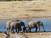 Tage Rundreise Namibia – Die Erlebnistour mit  Kalahari – Fish River-Canyon – Lüderitz – Namib – Swakopmund – Erongo Gebirge – Etosha Nationalpark – Windhoek (1764)