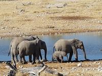 Tage Rundreise Namibia – Die Erlebnistour mit  Kalahari – Fish River-Canyon – Lüderitz – Namib – Swakopmund – Erongo Gebirge – Etosha Nationalpark – Windhoek (1765)
