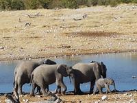 Tage Rundreise Namibia – Die Erlebnistour mit  Kalahari – Fish River-Canyon – Lüderitz – Namib – Swakopmund – Erongo Gebirge – Etosha Nationalpark – Windhoek (1766)
