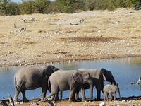 Tage Rundreise Namibia – Die Erlebnistour mit  Kalahari – Fish River-Canyon – Lüderitz – Namib – Swakopmund – Erongo Gebirge – Etosha Nationalpark – Windhoek (1767)