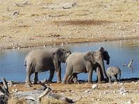Tage Rundreise Namibia – Die Erlebnistour mit  Kalahari – Fish River-Canyon – Lüderitz – Namib – Swakopmund – Erongo Gebirge – Etosha Nationalpark – Windhoek (1768)