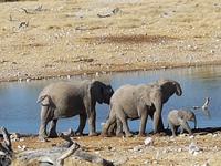 Tage Rundreise Namibia – Die Erlebnistour mit  Kalahari – Fish River-Canyon – Lüderitz – Namib – Swakopmund – Erongo Gebirge – Etosha Nationalpark – Windhoek (1769)