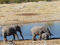 Tage Rundreise Namibia – Die Erlebnistour mit  Kalahari – Fish River-Canyon – Lüderitz – Namib – Swakopmund – Erongo Gebirge – Etosha Nationalpark – Windhoek (1770)