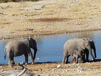 Tage Rundreise Namibia – Die Erlebnistour mit  Kalahari – Fish River-Canyon – Lüderitz – Namib – Swakopmund – Erongo Gebirge – Etosha Nationalpark – Windhoek (1771)
