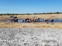 Tage Rundreise Namibia – Die Erlebnistour mit  Kalahari – Fish River-Canyon – Lüderitz – Namib – Swakopmund – Erongo Gebirge – Etosha Nationalpark – Windhoek (1772)
