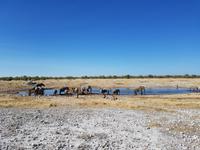 Tage Rundreise Namibia – Die Erlebnistour mit  Kalahari – Fish River-Canyon – Lüderitz – Namib – Swakopmund – Erongo Gebirge – Etosha Nationalpark – Windhoek (1773)