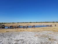 Tage Rundreise Namibia – Die Erlebnistour mit  Kalahari – Fish River-Canyon – Lüderitz – Namib – Swakopmund – Erongo Gebirge – Etosha Nationalpark – Windhoek (1774)