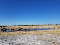 Tage Rundreise Namibia – Die Erlebnistour mit  Kalahari – Fish River-Canyon – Lüderitz – Namib – Swakopmund – Erongo Gebirge – Etosha Nationalpark – Windhoek (1775)