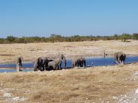 Tage Rundreise Namibia – Die Erlebnistour mit  Kalahari – Fish River-Canyon – Lüderitz – Namib – Swakopmund – Erongo Gebirge – Etosha Nationalpark – Windhoek (1776)