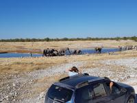 Tage Rundreise Namibia – Die Erlebnistour mit  Kalahari – Fish River-Canyon – Lüderitz – Namib – Swakopmund – Erongo Gebirge – Etosha Nationalpark – Windhoek (1779)