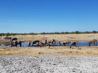 Tage Rundreise Namibia – Die Erlebnistour mit  Kalahari – Fish River-Canyon – Lüderitz – Namib – Swakopmund – Erongo Gebirge – Etosha Nationalpark – Windhoek (1780)