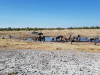 Tage Rundreise Namibia – Die Erlebnistour mit  Kalahari – Fish River-Canyon – Lüderitz – Namib – Swakopmund – Erongo Gebirge – Etosha Nationalpark – Windhoek (1781)
