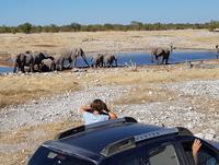Tage Rundreise Namibia – Die Erlebnistour mit  Kalahari – Fish River-Canyon – Lüderitz – Namib – Swakopmund – Erongo Gebirge – Etosha Nationalpark – Windhoek (1782)