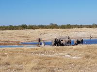 Tage Rundreise Namibia – Die Erlebnistour mit  Kalahari – Fish River-Canyon – Lüderitz – Namib – Swakopmund – Erongo Gebirge – Etosha Nationalpark – Windhoek (1788)