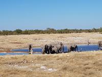 Tage Rundreise Namibia – Die Erlebnistour mit  Kalahari – Fish River-Canyon – Lüderitz – Namib – Swakopmund – Erongo Gebirge – Etosha Nationalpark – Windhoek (1789)